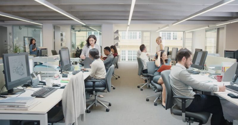 Office Workers 1.jpg