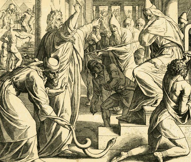 Serpents in Exodus